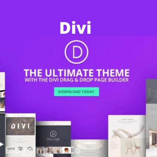 Divi WordPress Theme