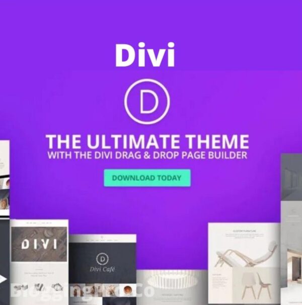 Divi WordPress Theme