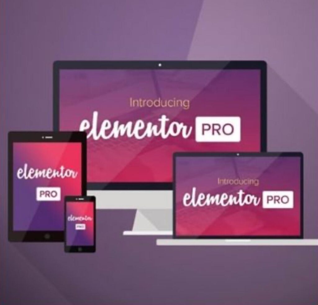 Elementor Pro Plugin