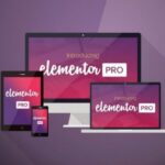 Elementor Pro Plugin