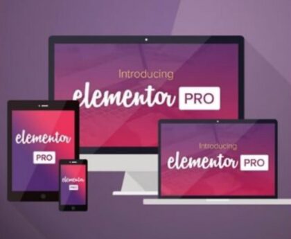 Elementor Pro Plugin