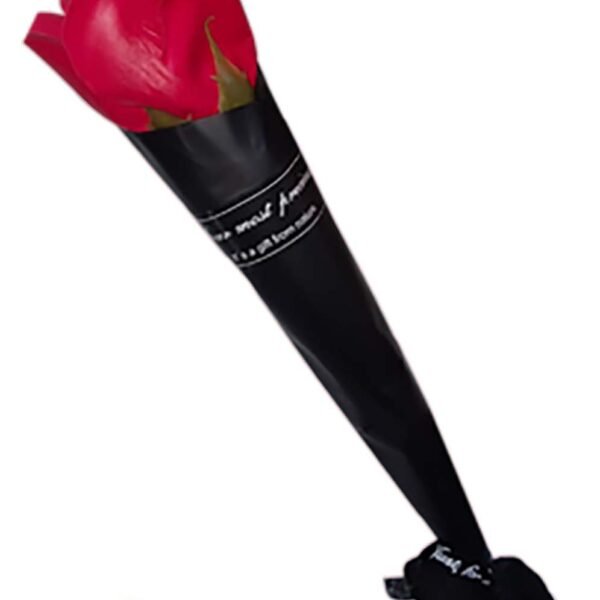 Rose flower